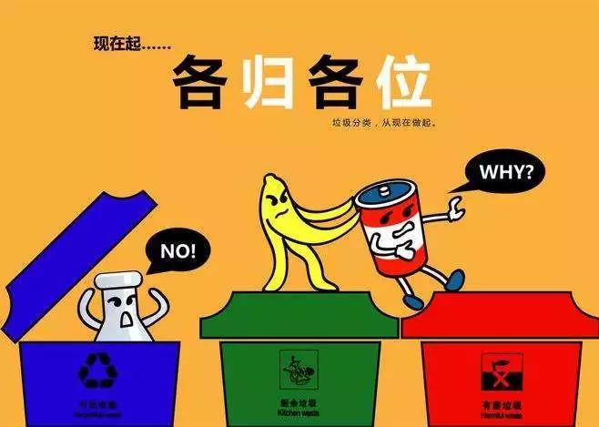 沈陽(yáng)市生活垃圾分類管理辦法